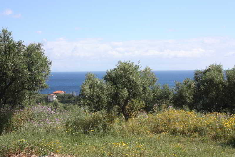 Lofos Soilis Aparthotel Tragaki Bagian luar foto